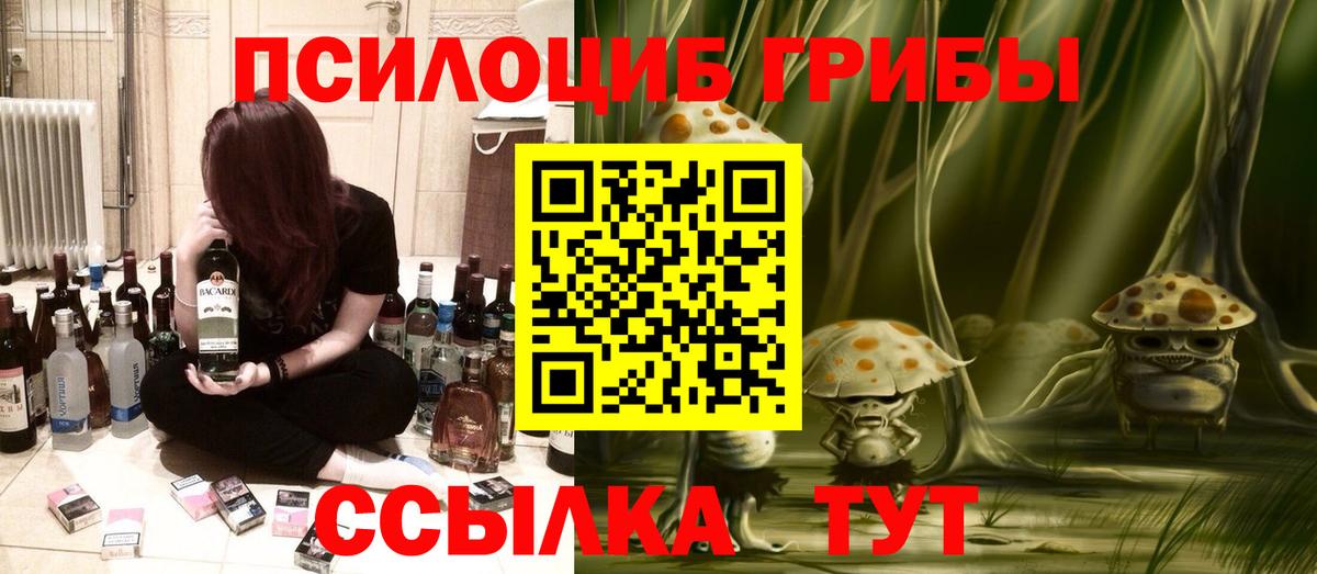 Псилоцибиновые грибы мицелий  Вход с VPN  Ноябрьск  Галлюциногенные грибы Psilocybine cubensis 