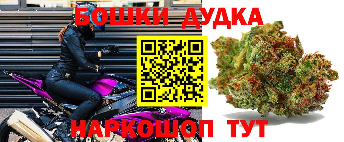 Шишки марихуана план Ноябрьск